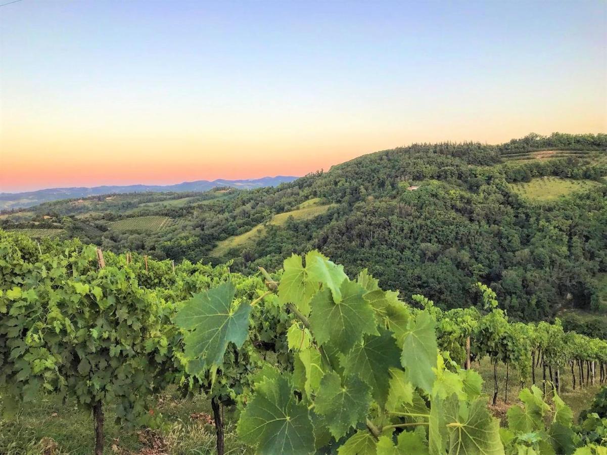 Podere Baratta agriturismo e cantina Collinello Esterno foto