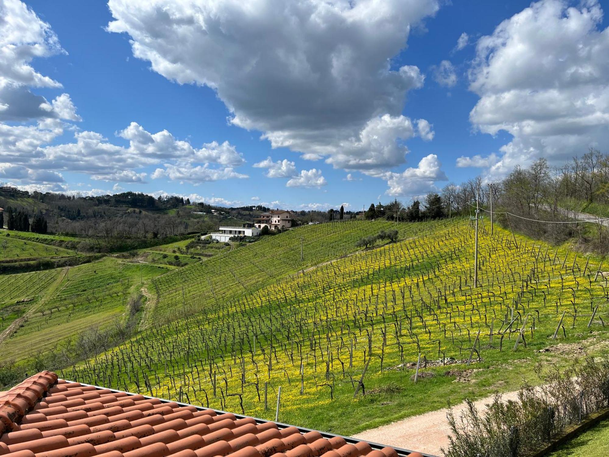 Podere Baratta agriturismo e cantina Collinello Esterno foto